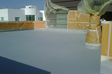 Roofing Membranes